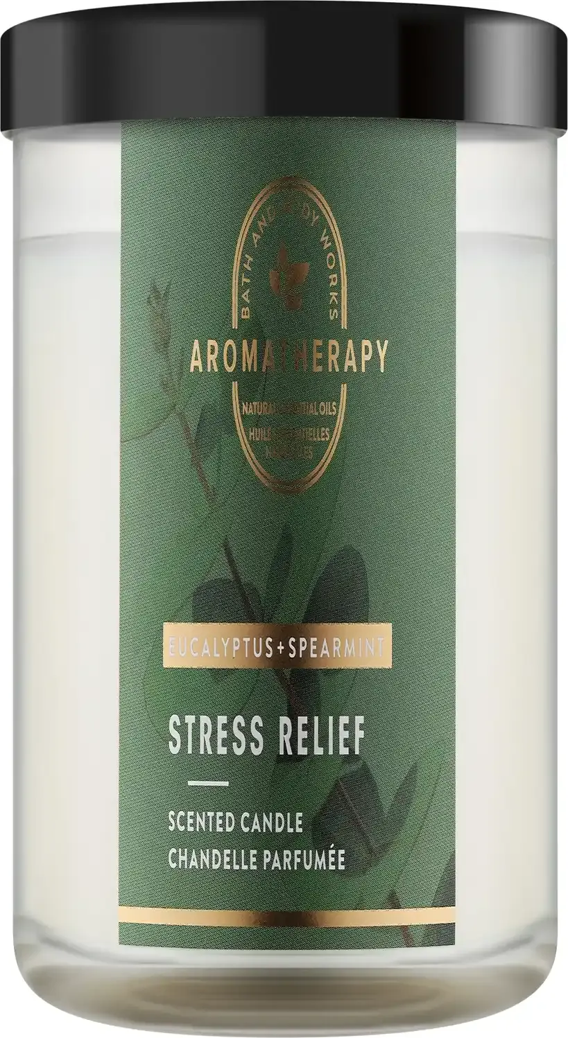 Bath Body Works Eucalyptus Spearmint candle