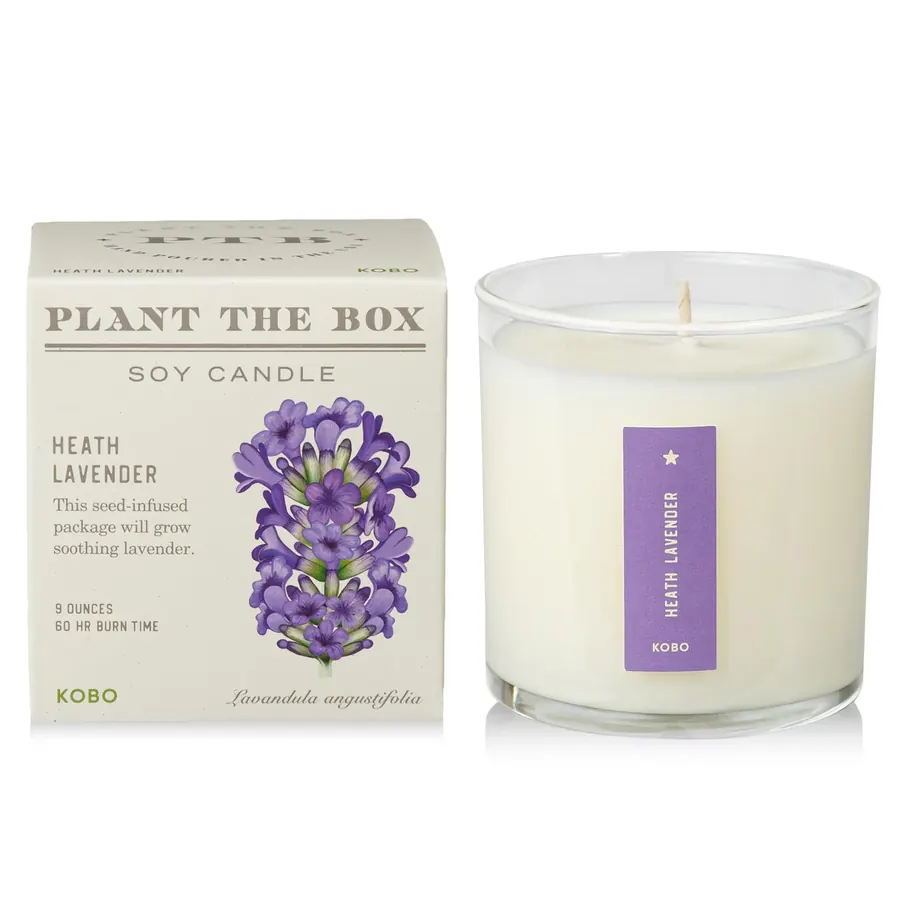 Kobo Pure Soy reed diffuser