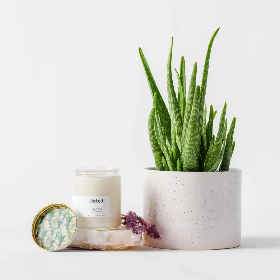 Otherland Cactus Flower candle